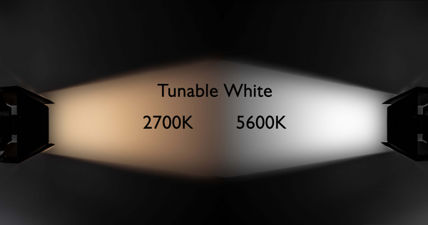 Compact Fresnel Light Bi-Color, incl. Track Mount & LED Driver. Color: White Driver: DALI