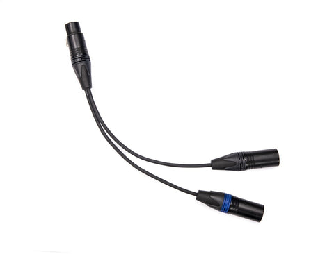 BB&S Split cable (4-Pin Male to 2 x 3-Pin Female XLR) for use with #3694 BB&S Controller