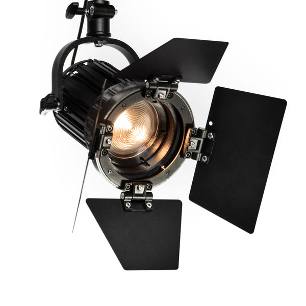 Compact Fresnel Light Bi-Color with integrated Zoom(12°-52°), White